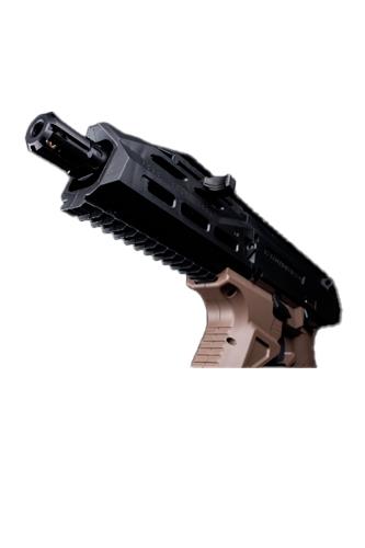 Scorpion EVO 3, ACE, Dual Tone