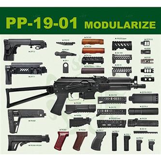 PP-19-01