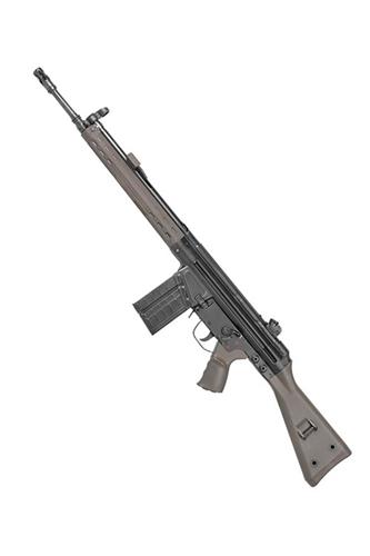 G3A3-S GR, Gate Aster Version